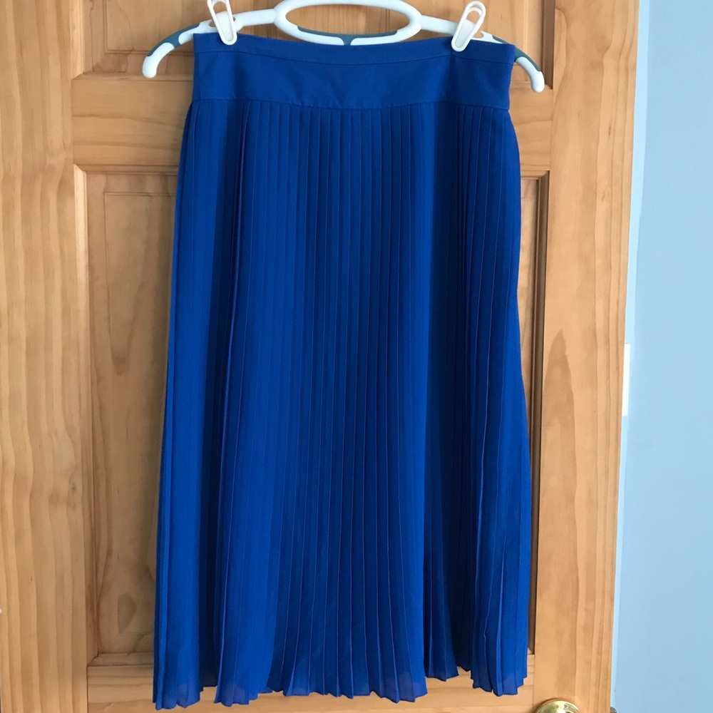 NWOT J.Crew Skirt, size 6